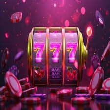 219bet