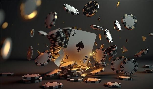 219bet