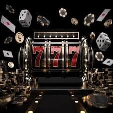 219bet